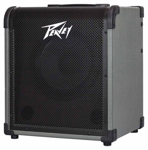 מגבר לבס 100W רמקול "10 PEAVEY MAX100