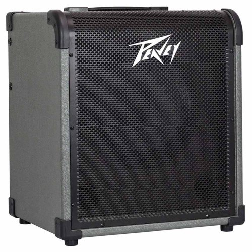 מגבר לבס 100W רמקול "10 PEAVEY MAX100