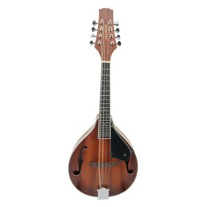 מנדולינה כולל נרתיק בגימור מט GRANADA ML200 Laminated Sapele