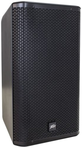 PEAVEY RBN 110 Speaker 1
