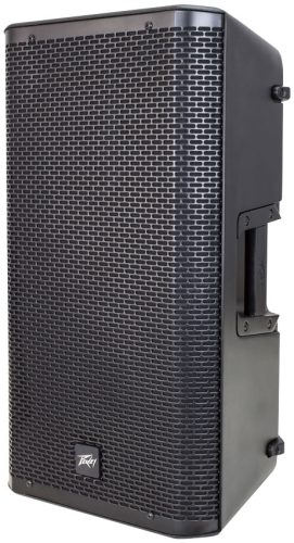 PEAVEY RBN 110 Speaker 5