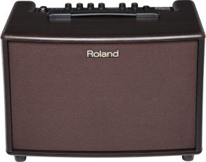 מגבר גיטרה אקוסטית כולל תיק  Roland AC60RW