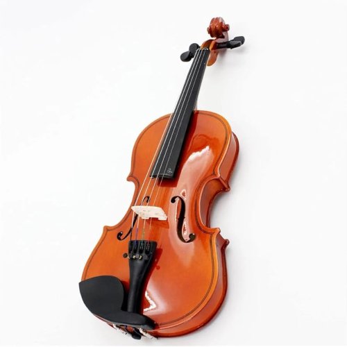 Albert -TV4/4A-LL VIOLIN 4/4 WITH BOW & SOFT CASE