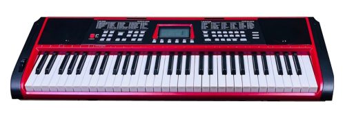 אורגן MORTON DLM-888