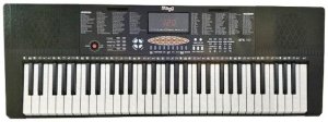 אורגן Stagg STK-100