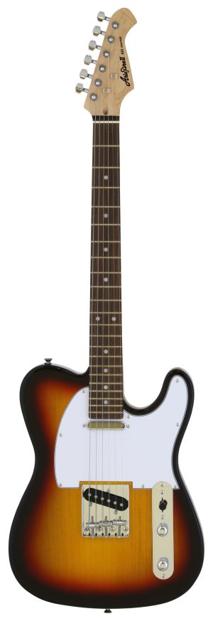 גיטרה חשמלית Aria TEG002 3TS